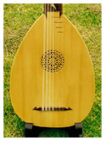 6 course lute detail