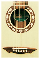 vaulted back guitar detail